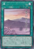  ڥΡޥ DUAD-JP073