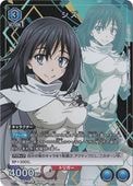  UAPR/TSK-P-002