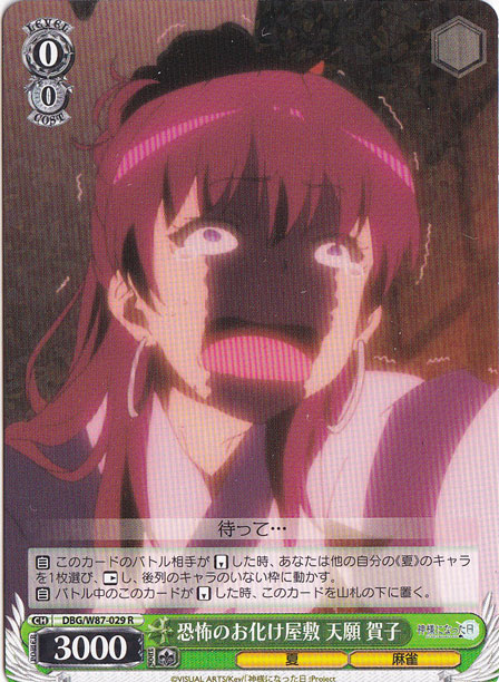 恐怖のお化け屋敷 天願 賀子 【DBG】 W87-029 R