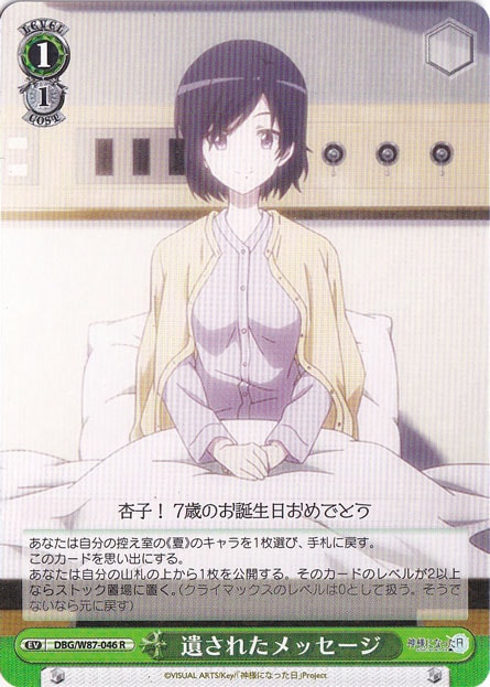 遺されたメッセージ 【DBG】 W87-046 R