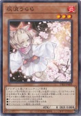 ή ڥΡޥ TT02-JPA09