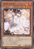 ή ڥΡޥ TT02-JPB11