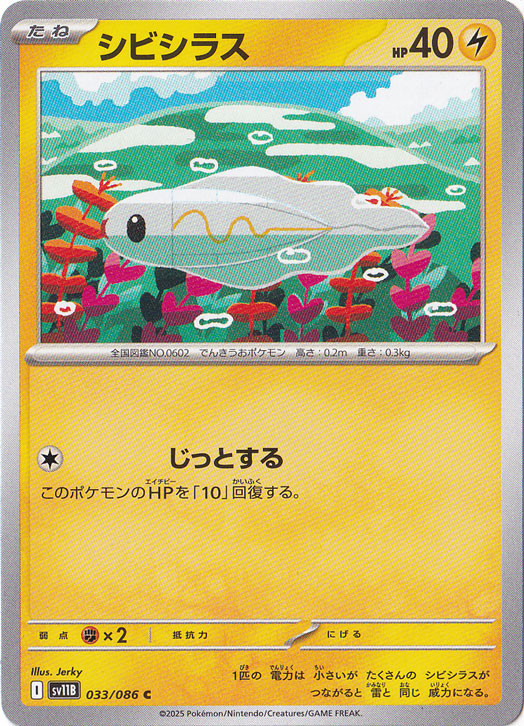 シビシラス C 033/086