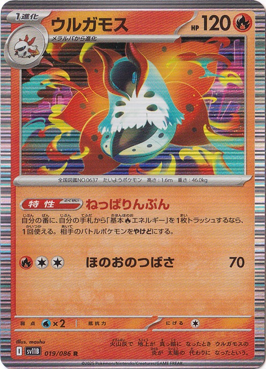 ★在庫整理セール★　ウルガモス R 019/086
