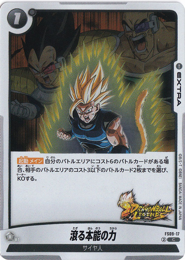 滾る本能の力 C FS09-17