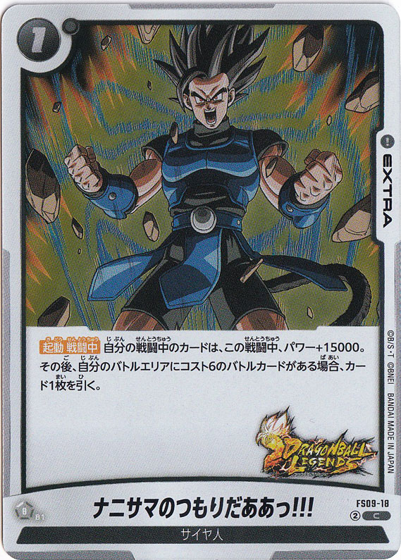 ナニサマのつもりだああっ!!! C FS09-18