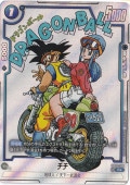  R SB01-019ڸ