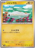 ڥץ쥤ѡۥӥ饹 C 033/086