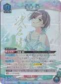 ڥץ쥤ѡƩ SR IMS-1-051