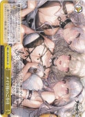ڥץ쥤ѡۥᥤΤ AZL S102-031 CR