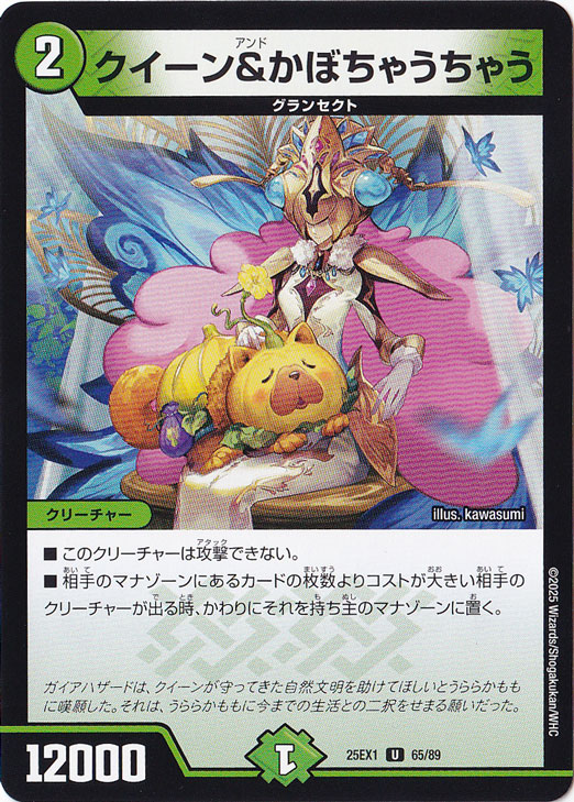 ヴァイス、デュエマ、少量のポケカに少量のバトスピ ヴァイス