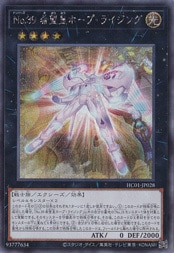 【プレイ用】No.39希望皇ホープ・ライジング 【シークレット】 HC01-JP028