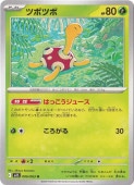 ツボツボ