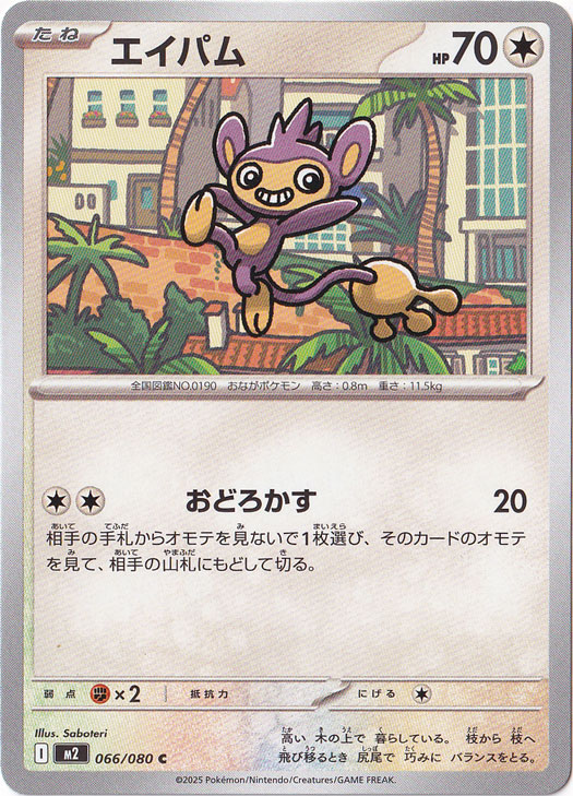 エイパム C 066/080