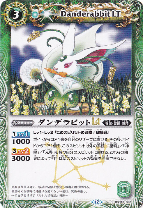 ダンデラビットLT 【C】 BSC49-020