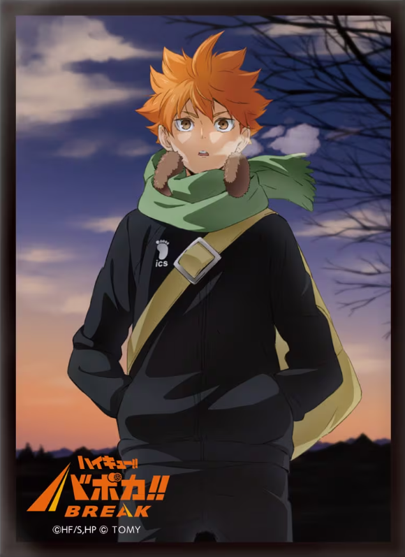 ハイキュー!! バボカ!! BREAK DXカードスリーブ Vol.1「日向 翔陽」