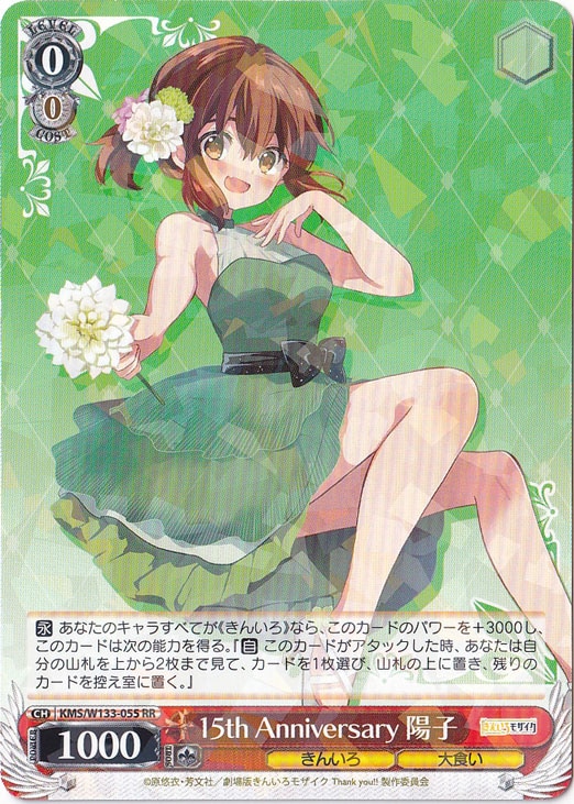 15th Anniversary 陽子 【KMS】 W133-055 RR