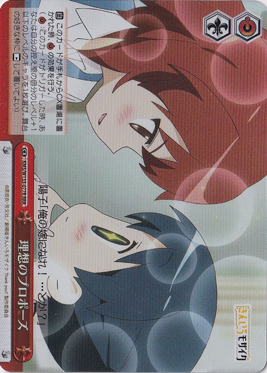 理想のプロポーズ 【KMS】 W133-077R RRR