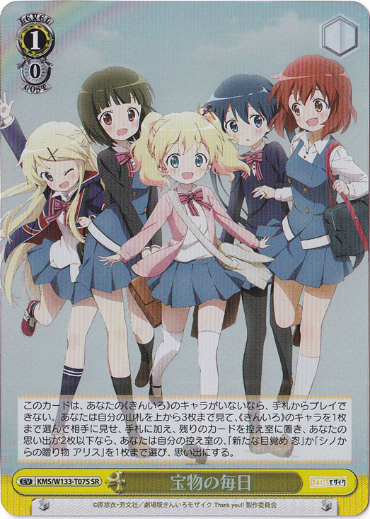 宝物の毎日 【KMS】 W133-T07S SR