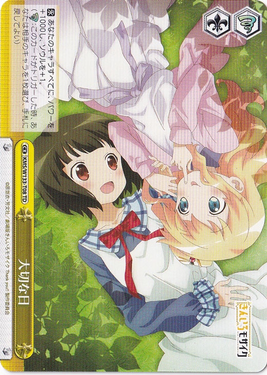 大切な日 【KMS】 W133-T08 TD