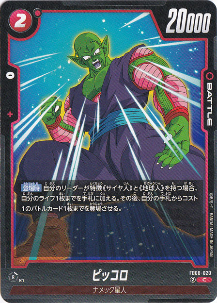 ピッコロ C FB08-020