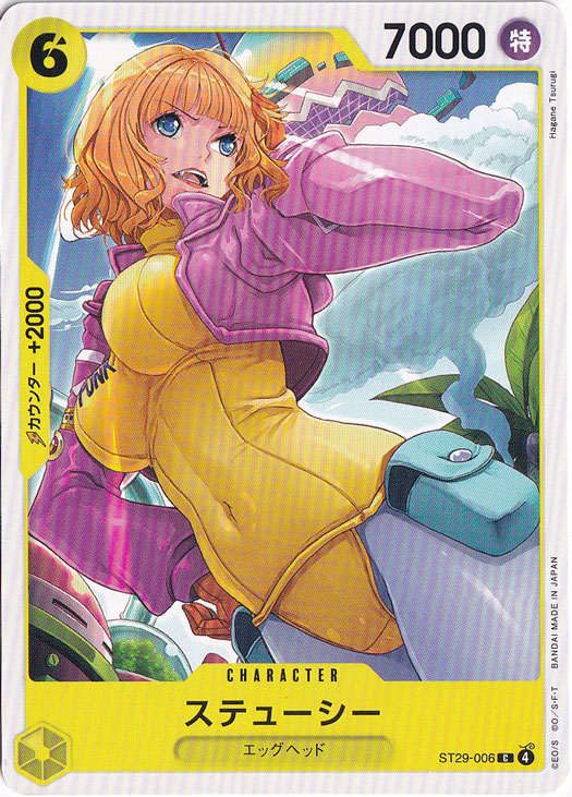 ステューシー C ST29-006