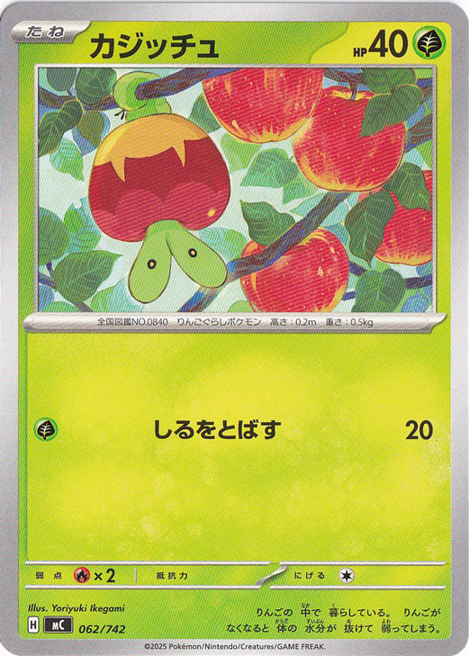 カジッチュ 062/742