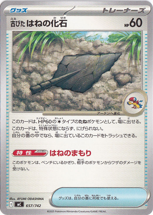 古びたはねの化石