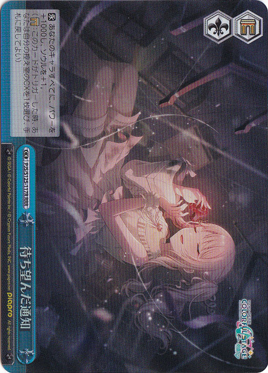 待ち望んだ通知 【PJS】 S125-117R RRR