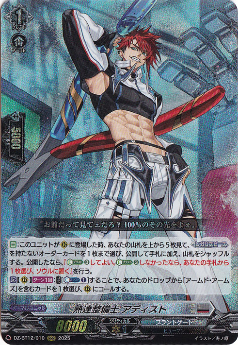 熟達整備士 アディスト　DZ-BT12/010　RRR