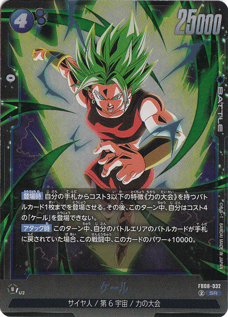 ☆特価中☆　ケール SR FB08-032