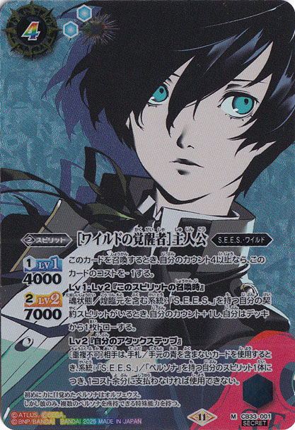 [ワイルドの覚醒者]主人公 【M/SECRET】 CB33-001