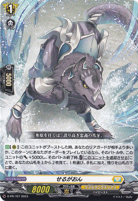 （傷あり）せるがおん　D-PR/707　PR