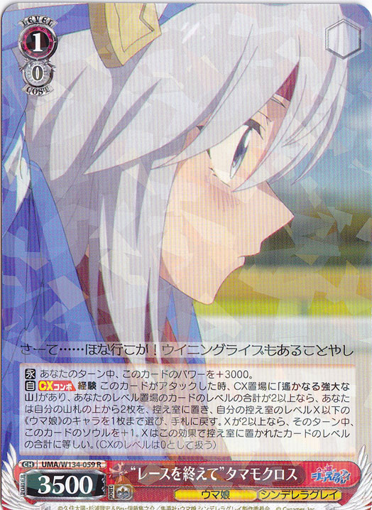 “レースを終えて”タマモクロス 【UMA】 W134-059 R