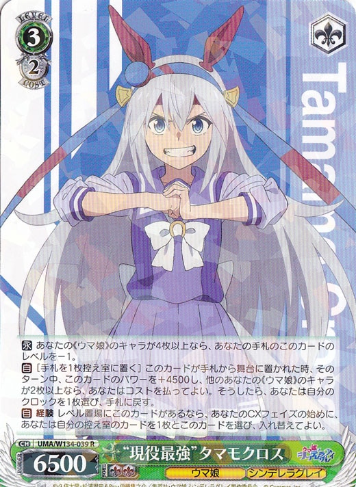 ☆特価中☆“現役最強”タマモクロス 【UMA】 W134-039 R