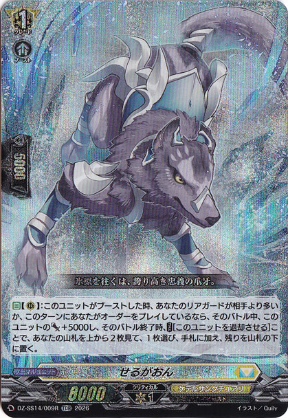 せるがおん　DZ-SS14/009R　TDR