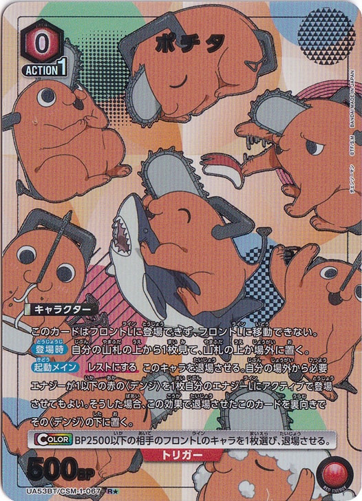 ポチタ R★ CSM-1-0671