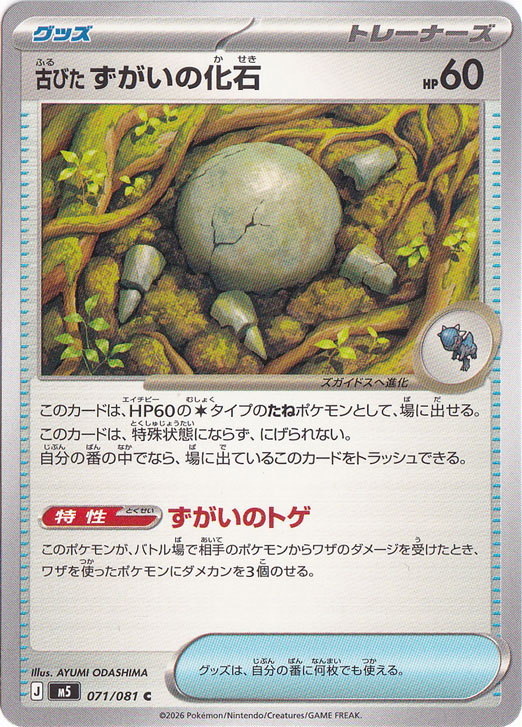 古びたずがいの化石 [m5] C 071/081