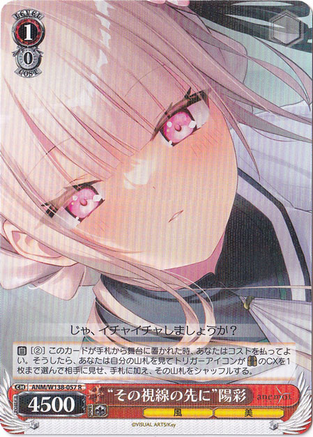 “その視線の先に”陽彩 【ANM】 W138-057 R