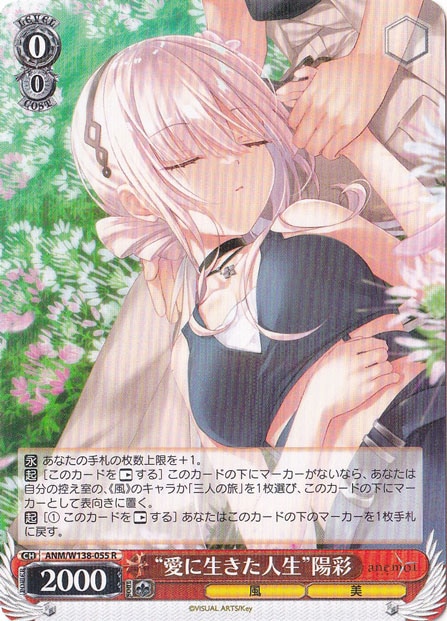 ☆特価中☆“愛に生きた人生”陽彩 【ANM】 W138-055 R