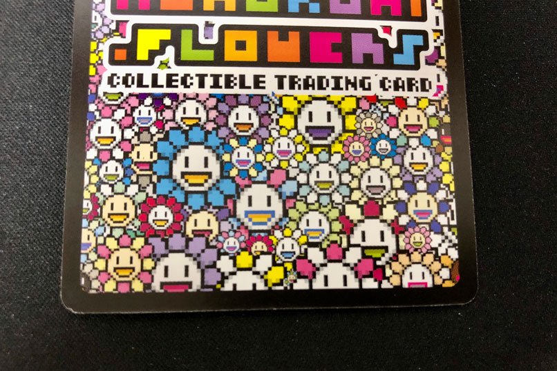 目からビーム SP-037/SR｜Murakami.FlowersCTC｜通販のPAO