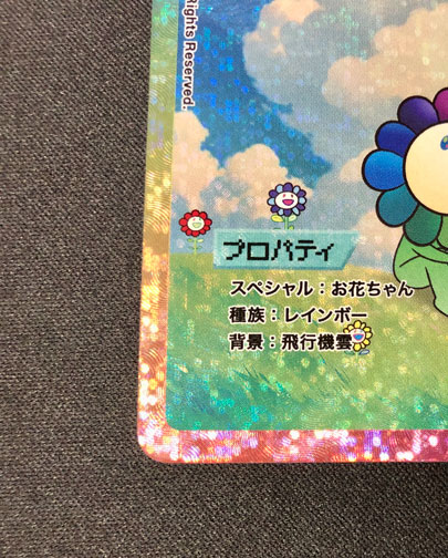 飛行機雲とお花ちゃん SP-227/SA｜Murakami.FlowersCTC｜通販のPAO