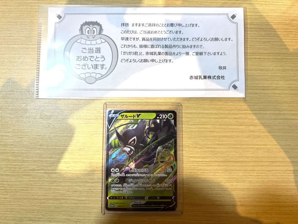 ザルードV PROMO 108/S-P