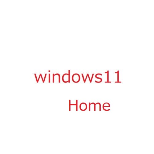 Microsoft Windows11 Home 64Bit ���ܸ� ��ѥå� DSP�� [��Ź����PC�ѡ��ĥХ�ɥ�] �᡼��������̵��