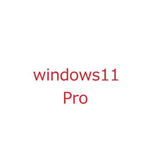 Microsoft Windows11 Pro 64Bit ���ܸ� ��ѥå� DSP�� [��Ź����PC�ѡ��ĥХ�ɥ�]