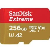 SanDisk SDSQXAV-256G-GN6MN [256GB] ���᡼���ؤǤ�ȯ���ΰ١�������Բ�