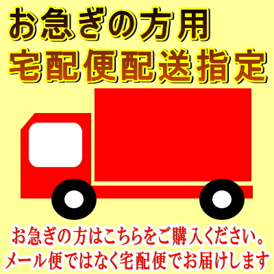 ���������������ӥ������ޤ������Ϥ������������Ƥ�������!