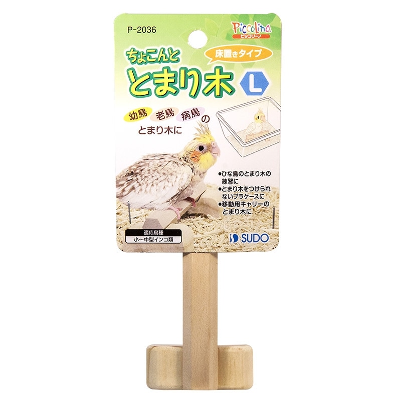 インコひな用 特製飼育セット （株）三晃商会 鳥かご・ケージ
