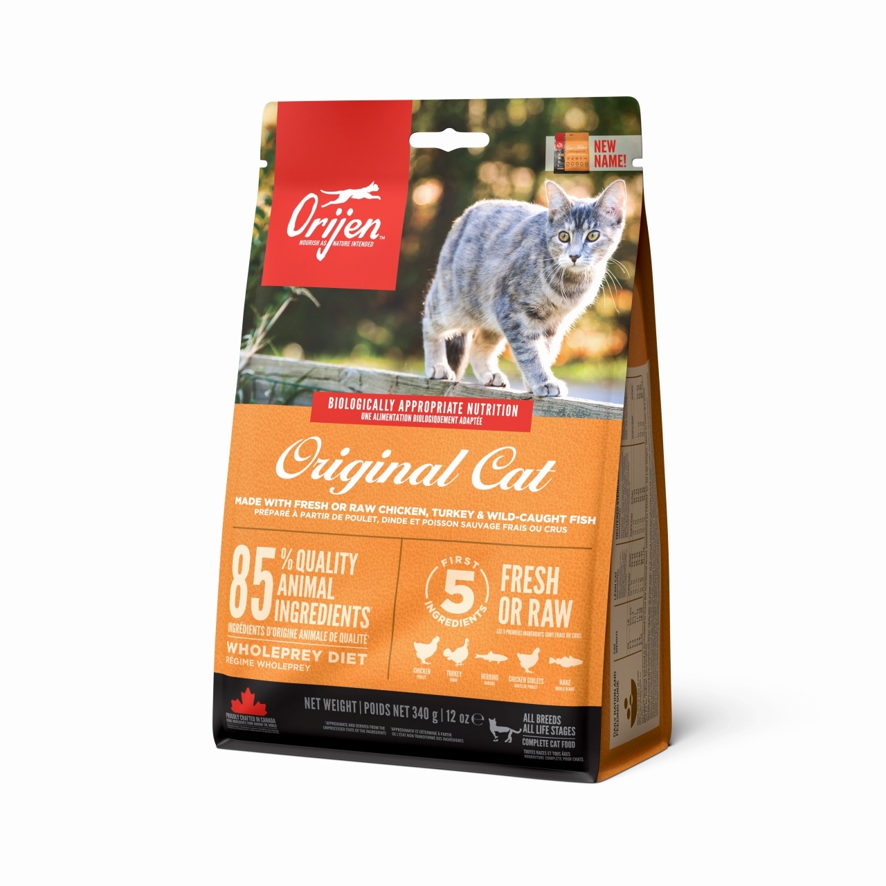オリジン オリジナル キャット 全猫種 全年齢用 | 猫用品