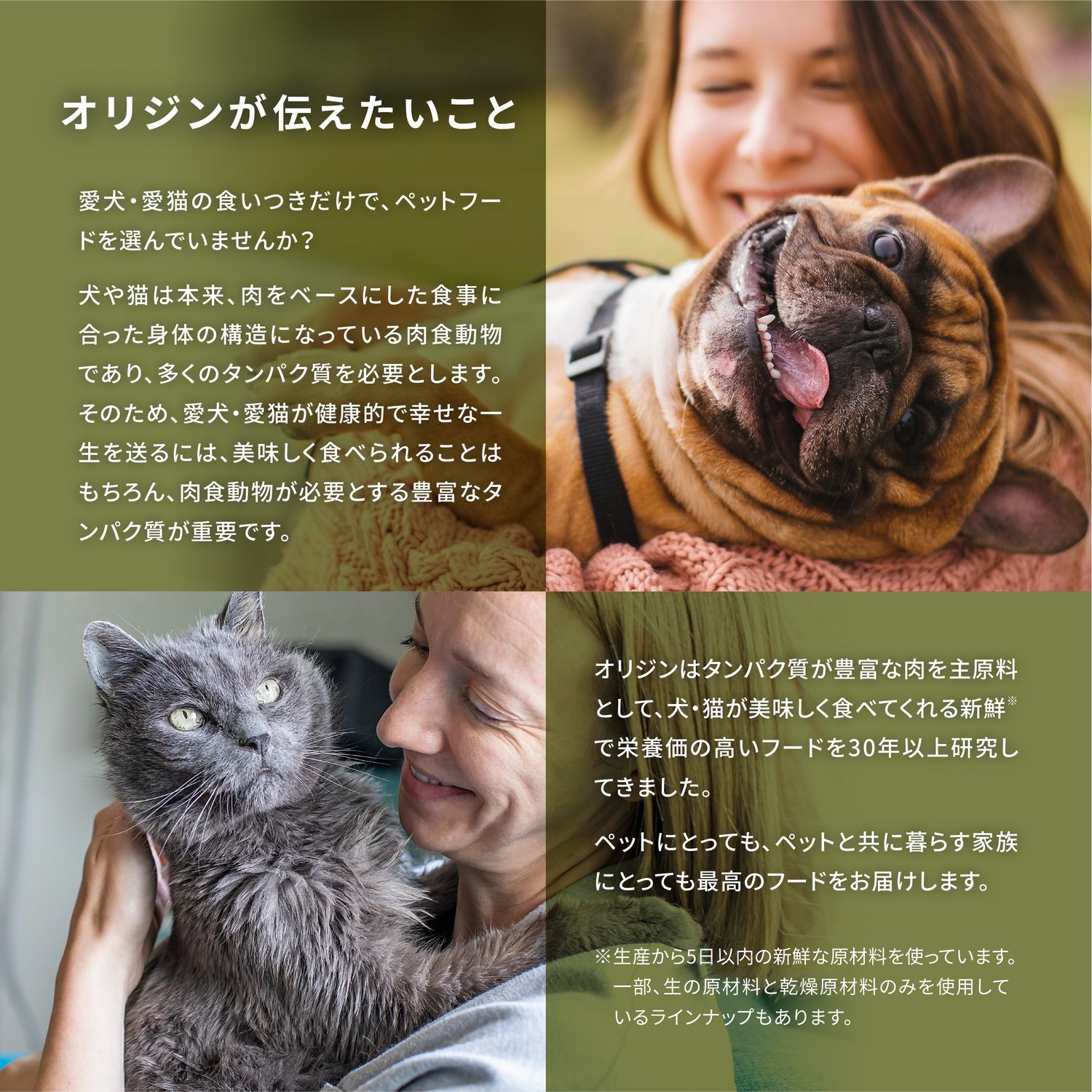 オリジン オリジナル キャット 全猫種 全年齢用 | 猫用品